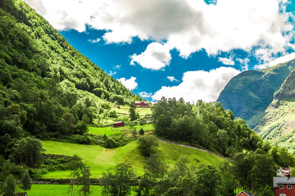 Visit a traditional goat farm near Skjerdal