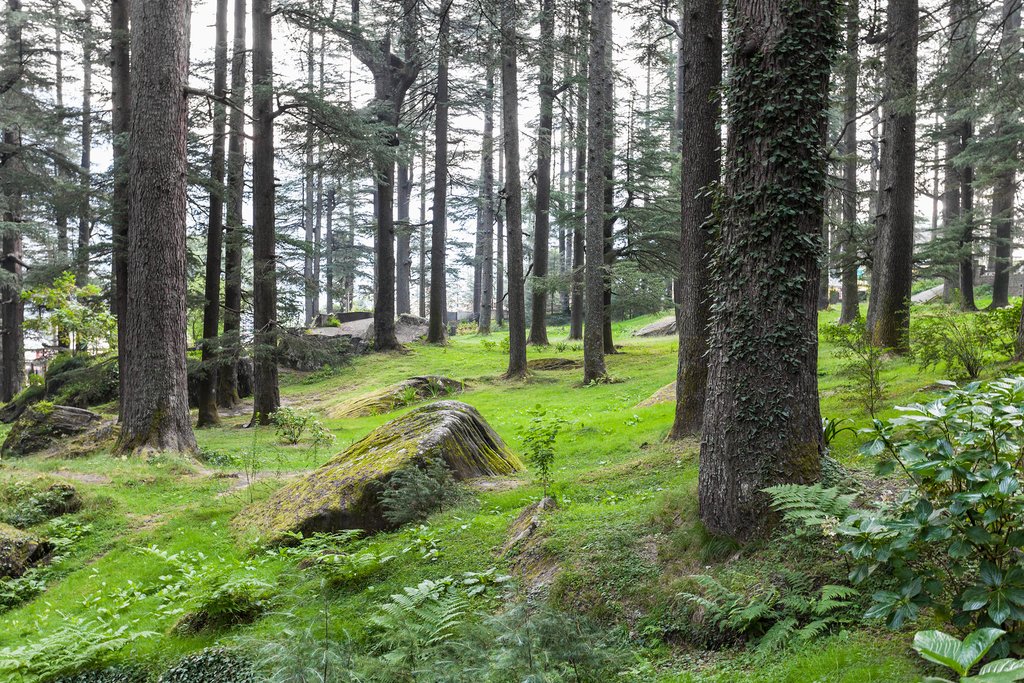 Himachal Pradesh