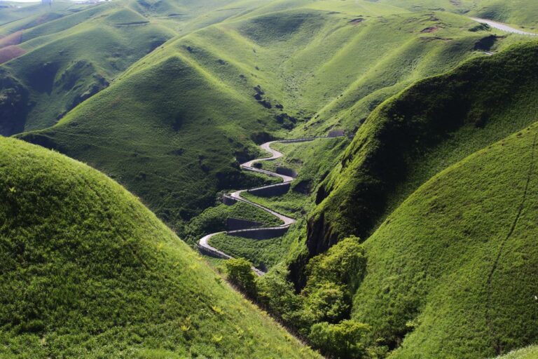 Uncharted Japan: Tokyo, Tsuruoka, Izu Islands, Osaka, Kagoshima, Yakushima, Takachiho, Kumamoto - 16 Days