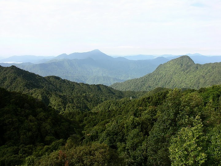 Bach Ma National Park