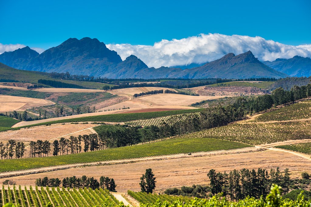 Beautiful landscape in Cape Winelands