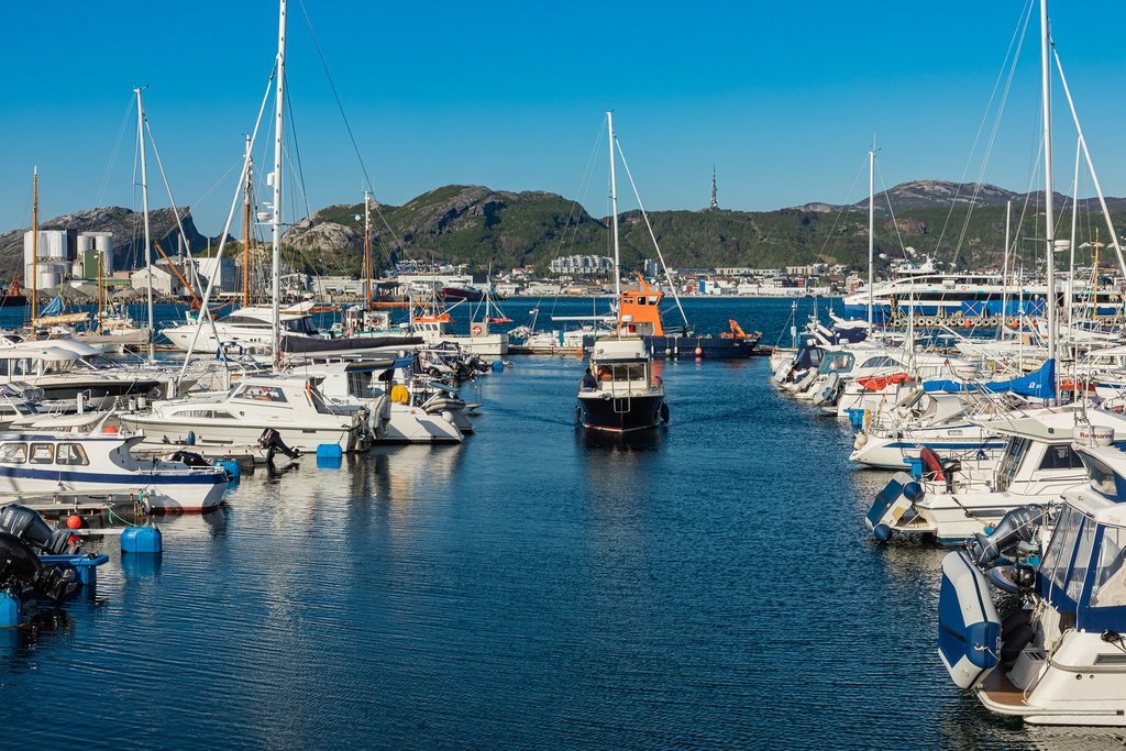 Bodø's thriving marina