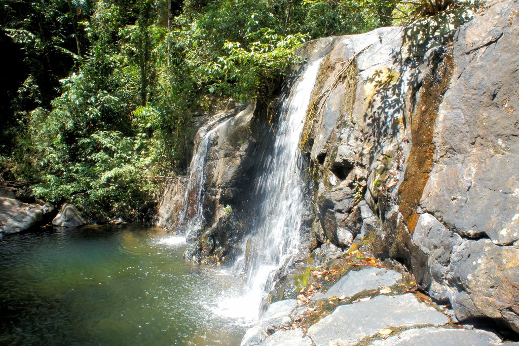 Small waterfall in jungle of Palawan