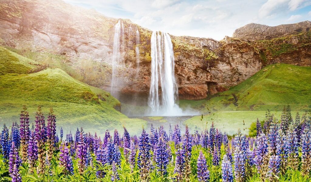Perfect view of famous powerful Seljalandfoss waterfall in sunli
