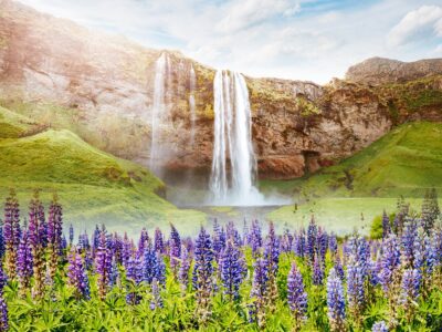 Perfect view of famous powerful Seljalandfoss waterfall in sunli
