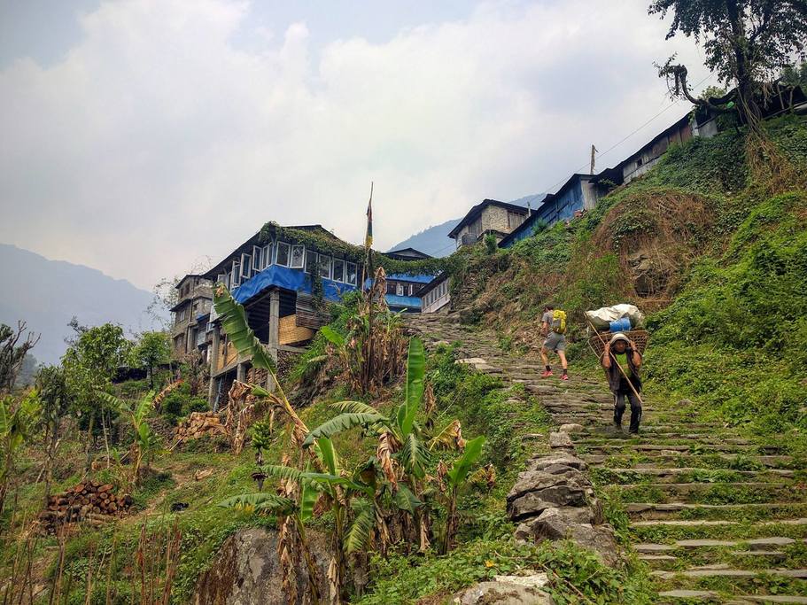 A typical trail in Nepal at lower elevation