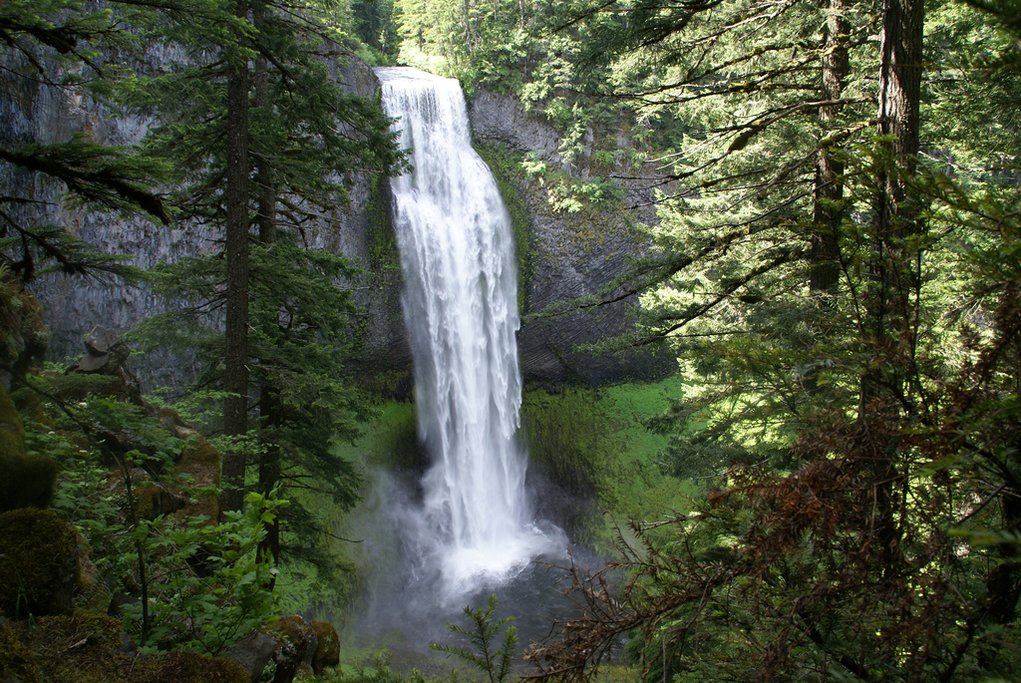 Salt Creek Falls (Photo courtesy of David K@Flickr)