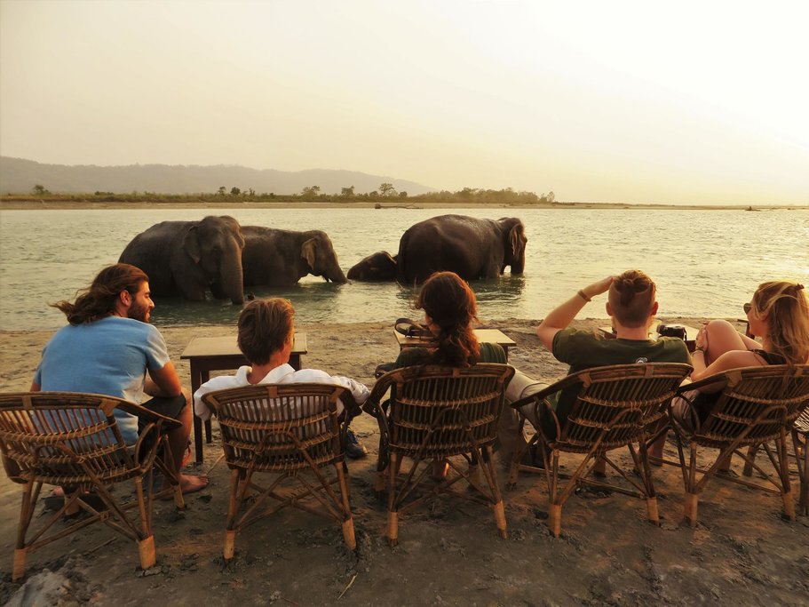 Elephant bathing in the river in Chitwan