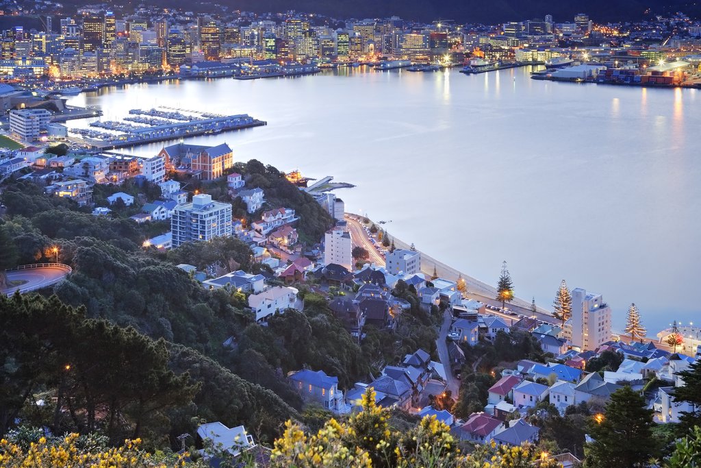 Wellington New Zealand - twilight over Wellington Harbour