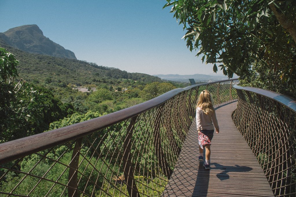 Kirstenbosch Botanical Garden treetop walk
