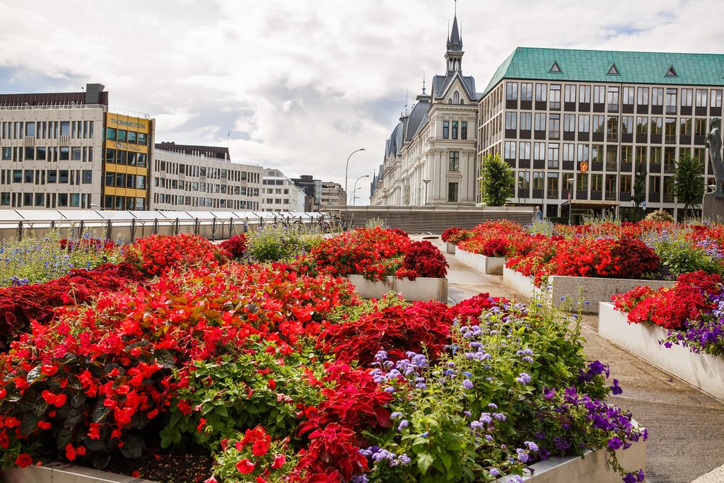 Oslo's in full bloom during summer months.