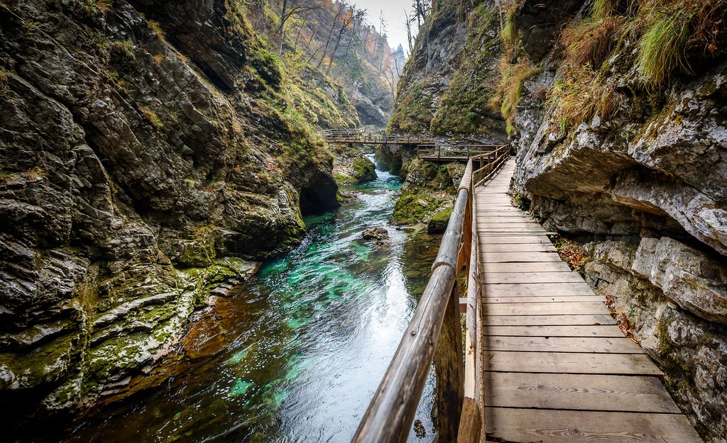 The Vintgar Gorge of Radovna River