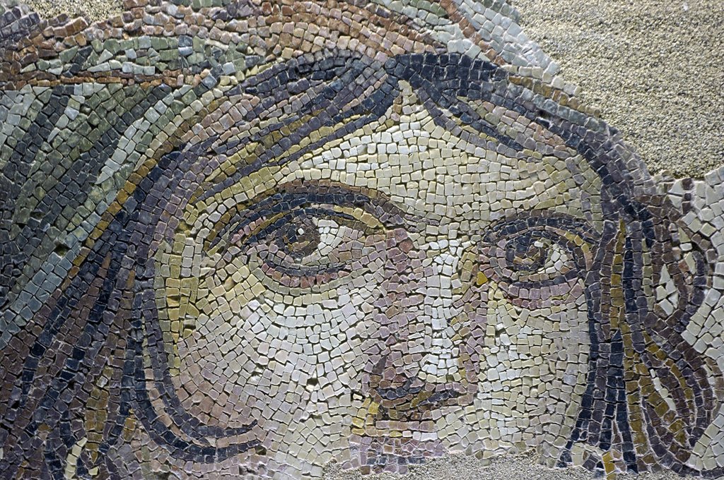 Mosaic at Zeugma Museum