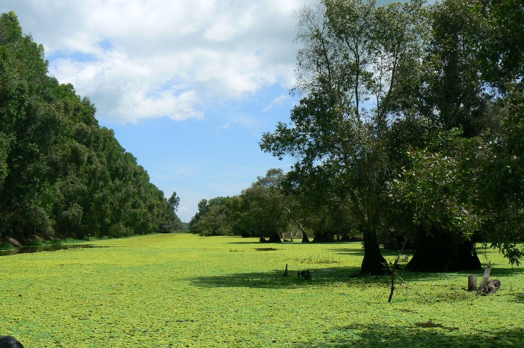 Chau Doc - Tra Su Sanctuary - Ho Chi Minh City