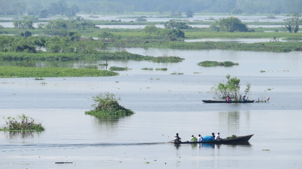 Exploring the remoter reaches of the Peruvian Amazon, near Pevas: Peru has a huge variety of jungle to discover by river trip