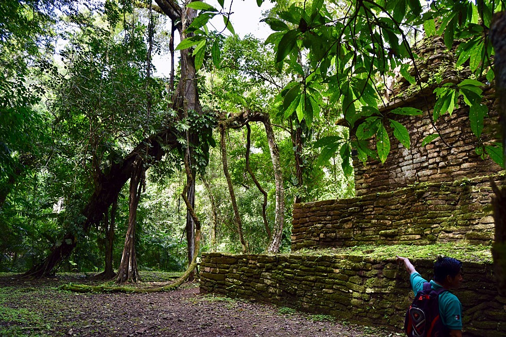 Yaxchilan