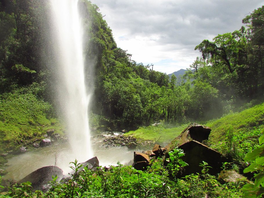 The locals take great pride in the beauty and conservation of the local forest