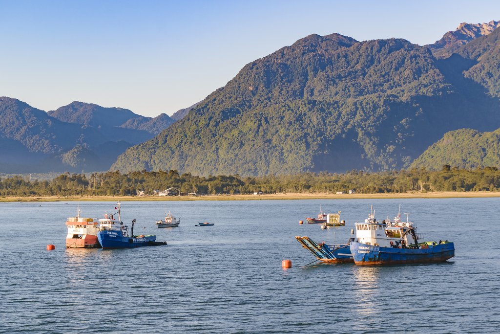 Scenery in the Patagonian fjords