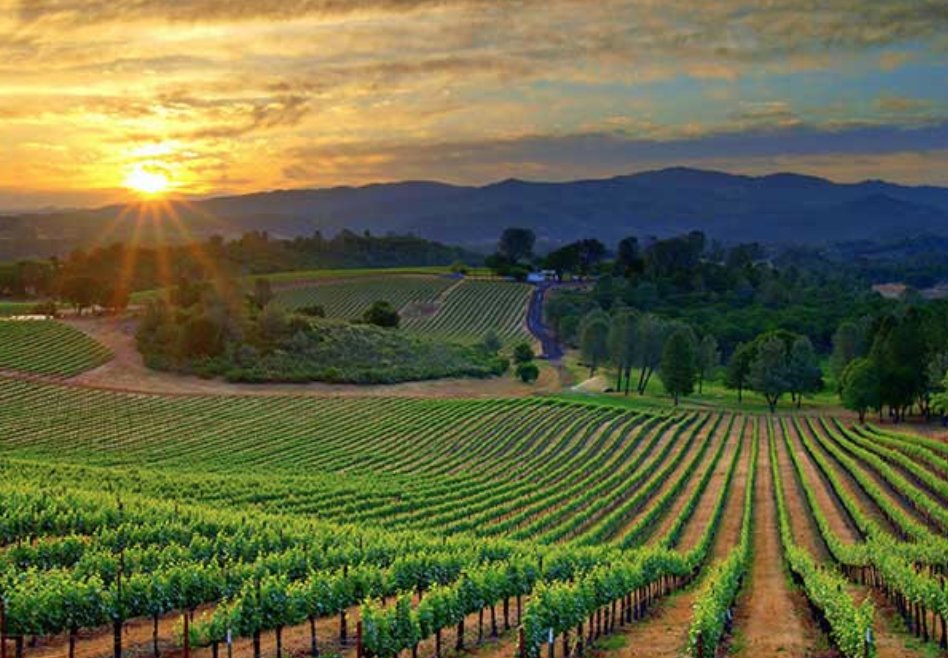 Hunter Valley NSW