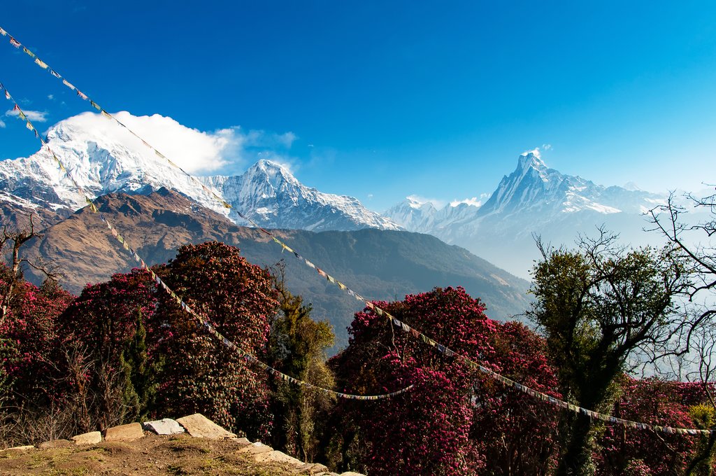 Vantage point from Poon Hill