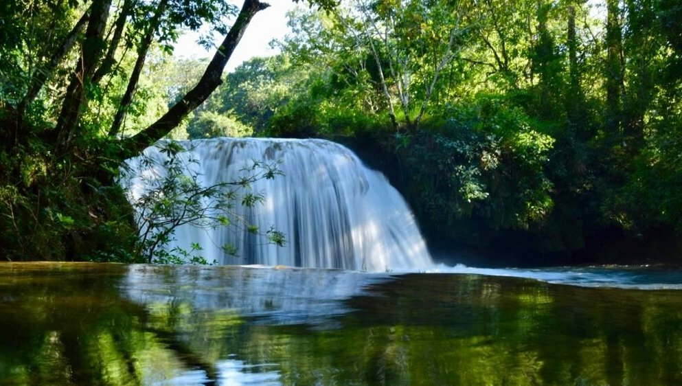 A relaxing oasis