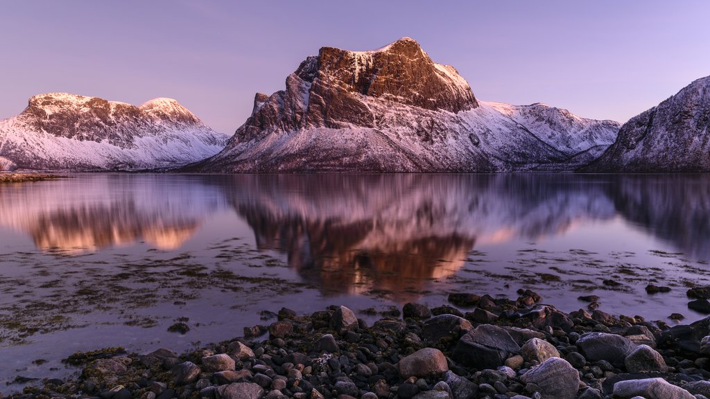 Senja's craggy peaks attract photographers from around the globe