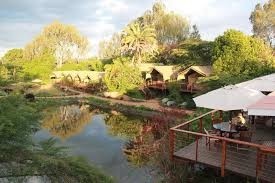 Wildebeest Eco Camp Luxury Safari Tent