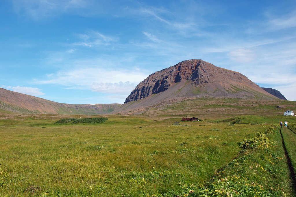 Hornstrandir in summer