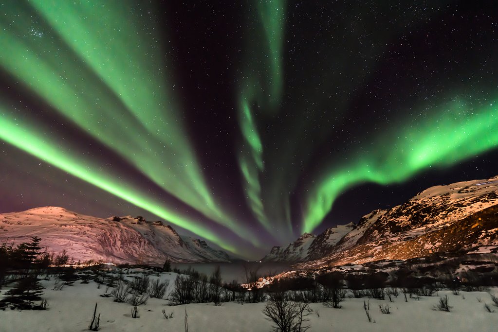 If the skies are clear, look for an evening show.
