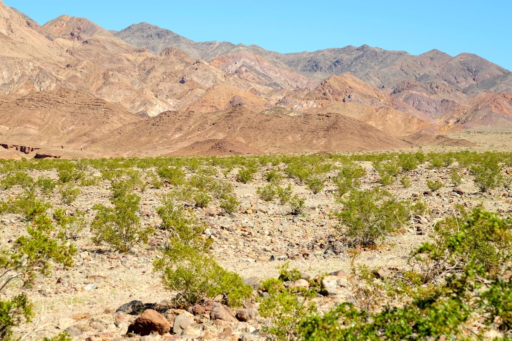 View of Yaqui Pass in Anza-Borrego State Park