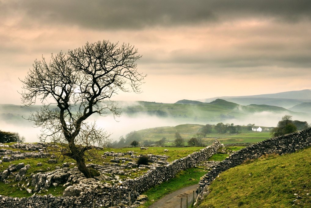 Misty Dales