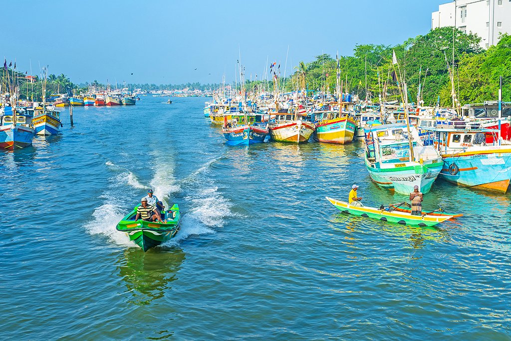 Boats in the lagoon in Negombo