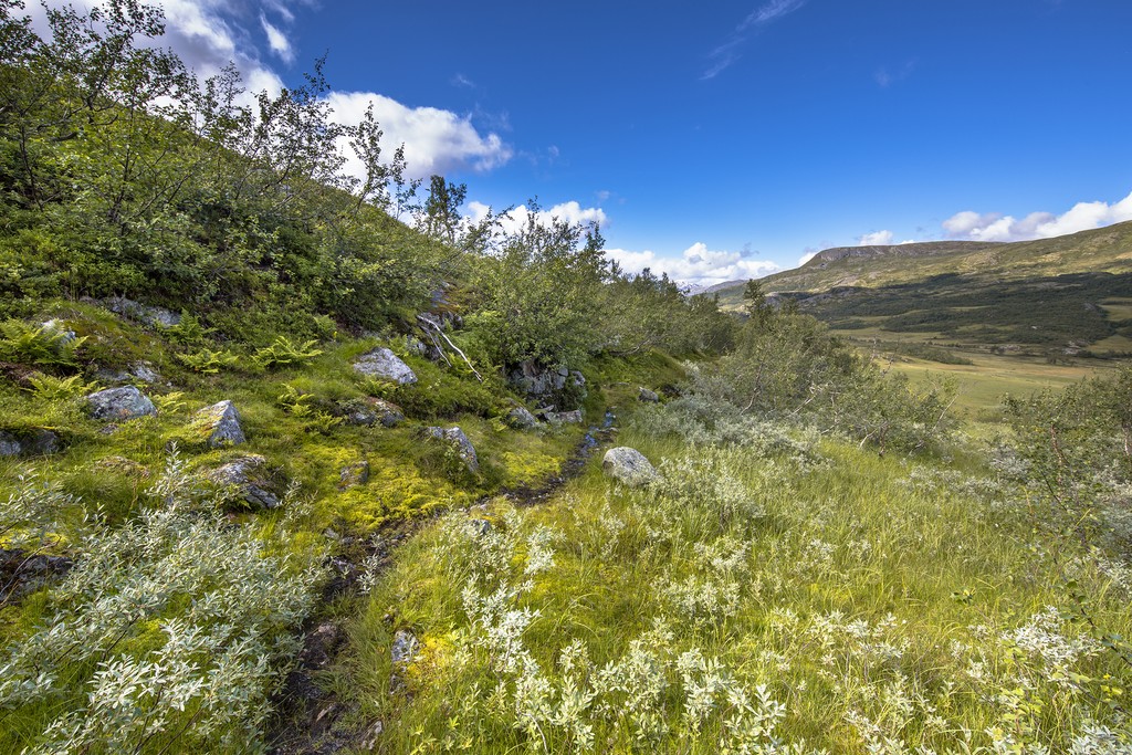 The scenery is worth every step along the way to Finse