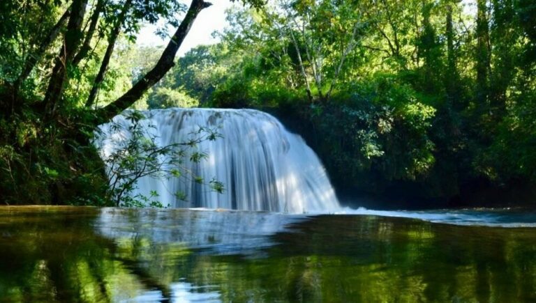 Mexico Rainforest Exploration & Indigenous Culture: Palenque & Nahá - 6 Days