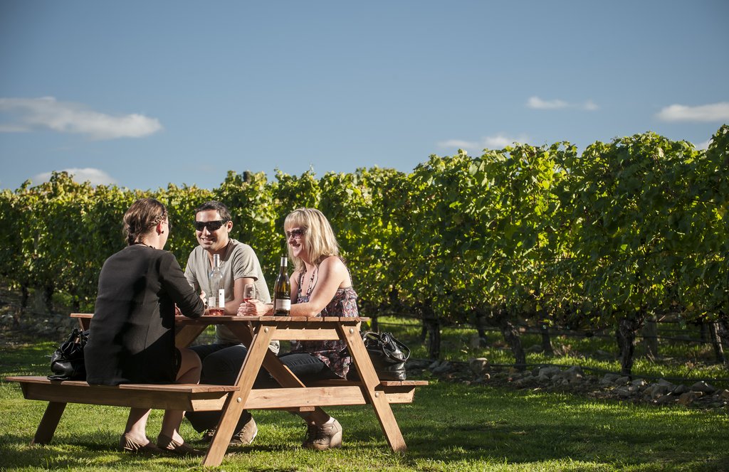 Welcome to the wine region