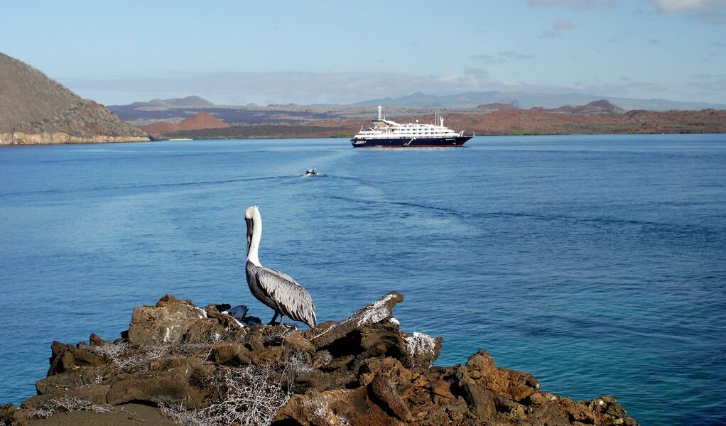 Sullivan Bay with cruise ship and pelican, Galapagos