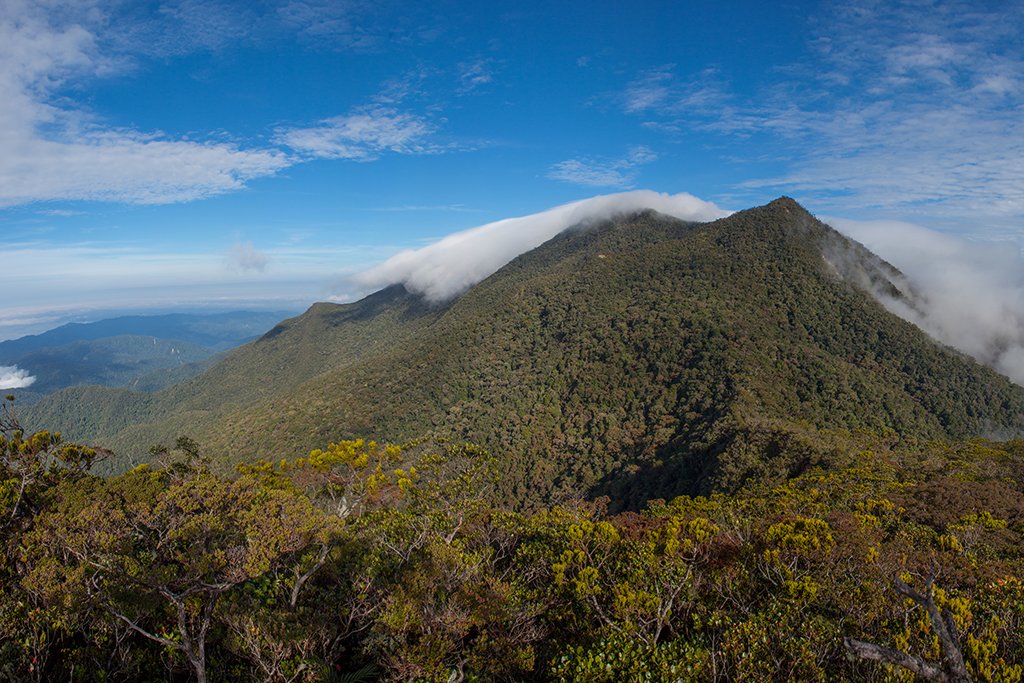 Incredible view from the second highest peak in Sabah, Mount Trus Madi