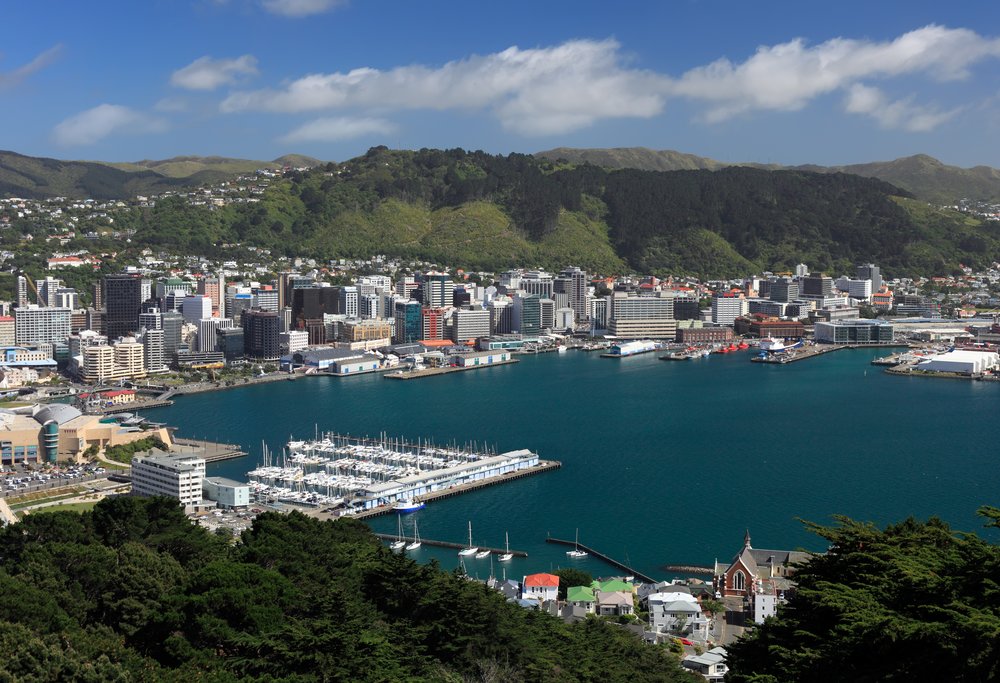 New Zealand - Central Wellington - view from Victoria