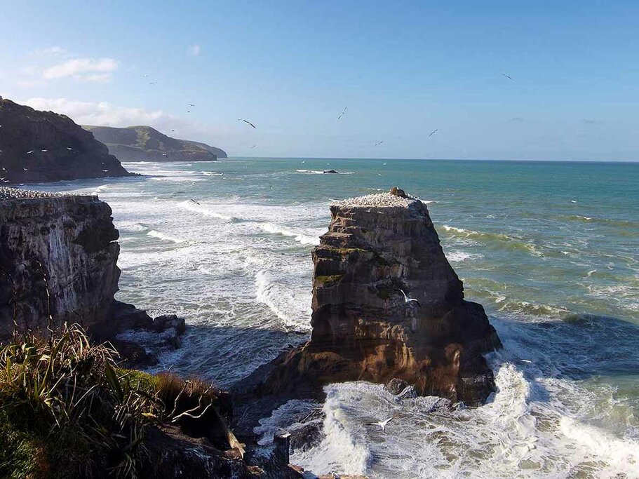 Bush and Beach - Great Tastes Half Day Kumeu Wine Country Tour with Lunch