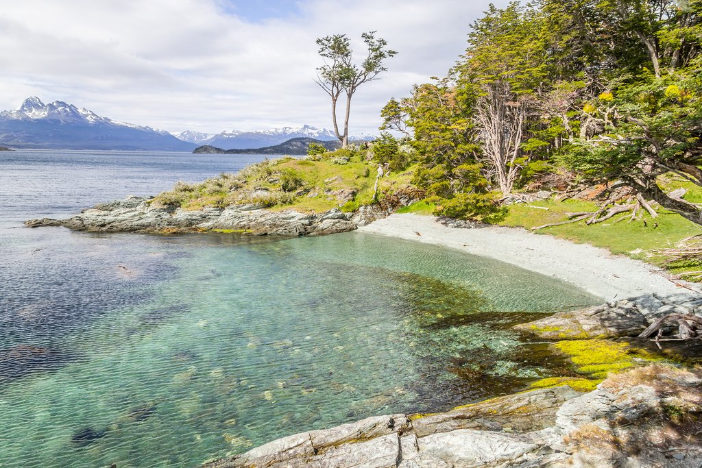 Coastal trail in Tierra del Fuego