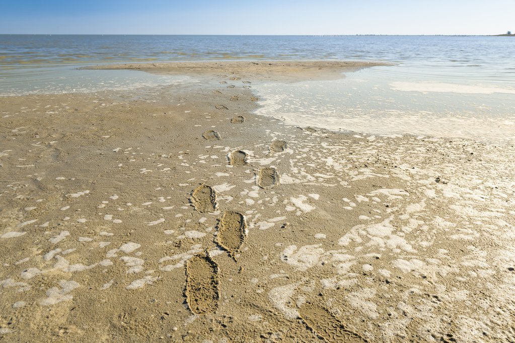 Makgadikgadi Pan