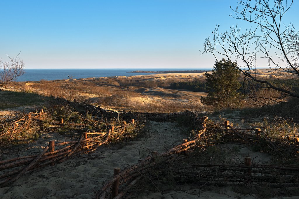 Sand Dunes on the Curonian Spit