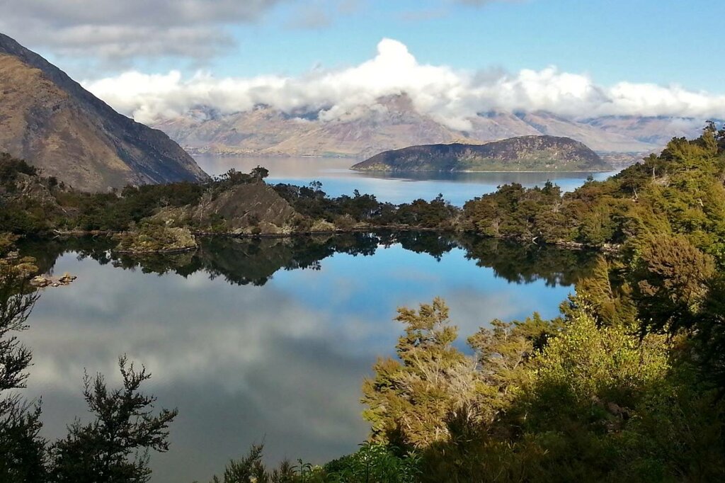 Moh Waho Island on Lake Wanaka
