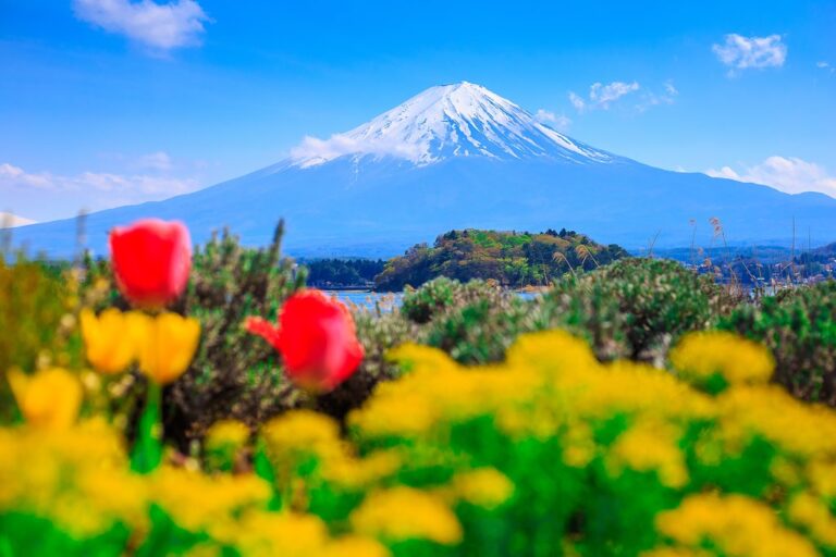 Japan In May Travel Tips Weather And More