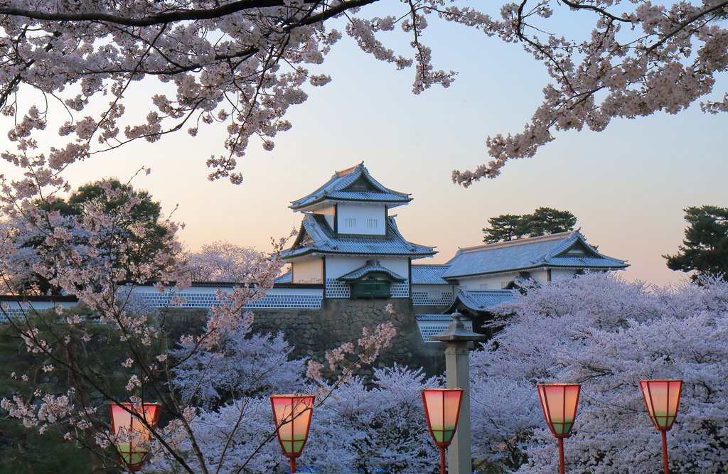 Cherry blossoms below Kanazawa Castle