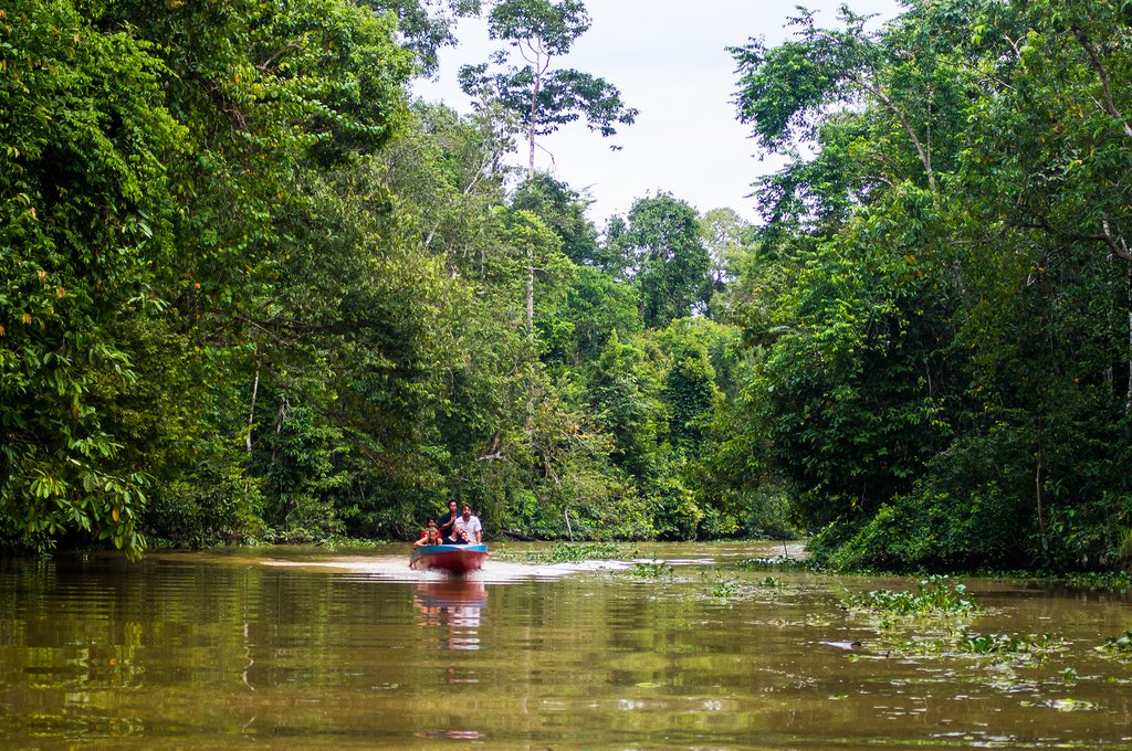 Boating along the Kinabatangan River