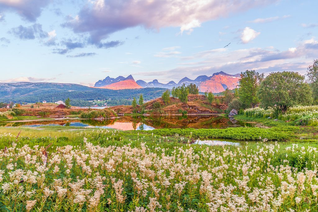 Take a scenic drive to the countryside near Bodø