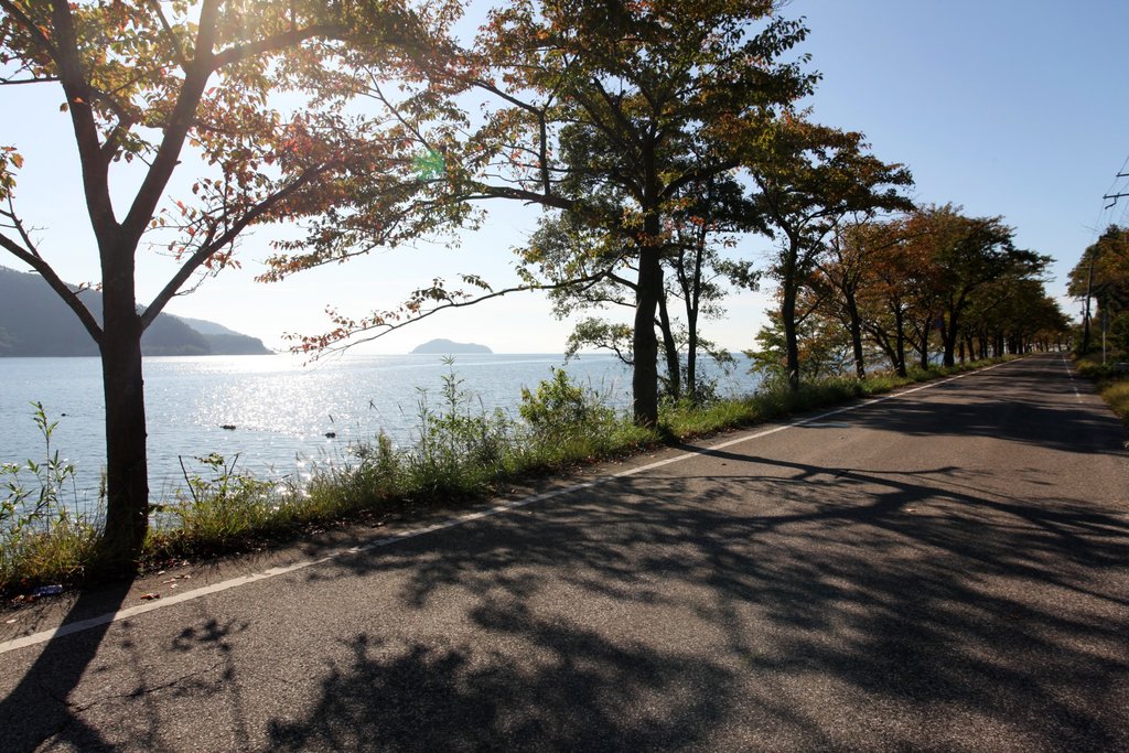 Lakeshore cycling
