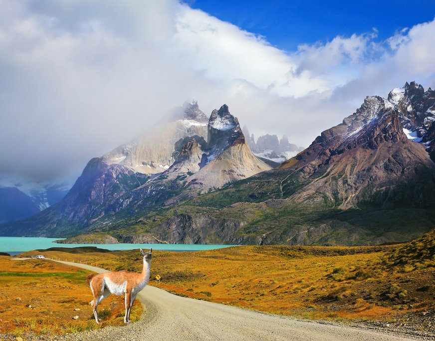 Let a guide show you the park's best spots on this driving tour
