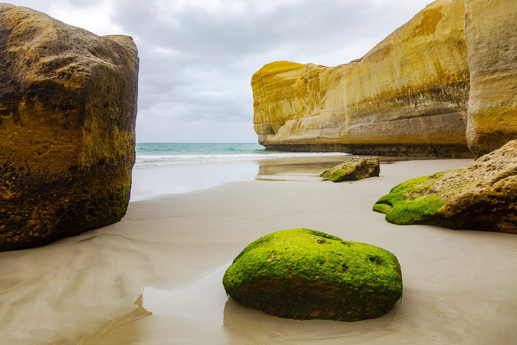 Explore the wild coastline of the Otago Peninsula